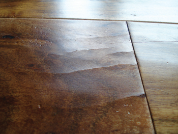4 Common Hardwood Floor Problems Wood, Problems With Somerset Engineered Hardwood Floors