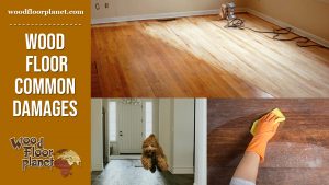Wood Floor Repair: Common Damages