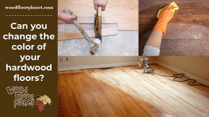Can you change the color of your hardwood floors?
